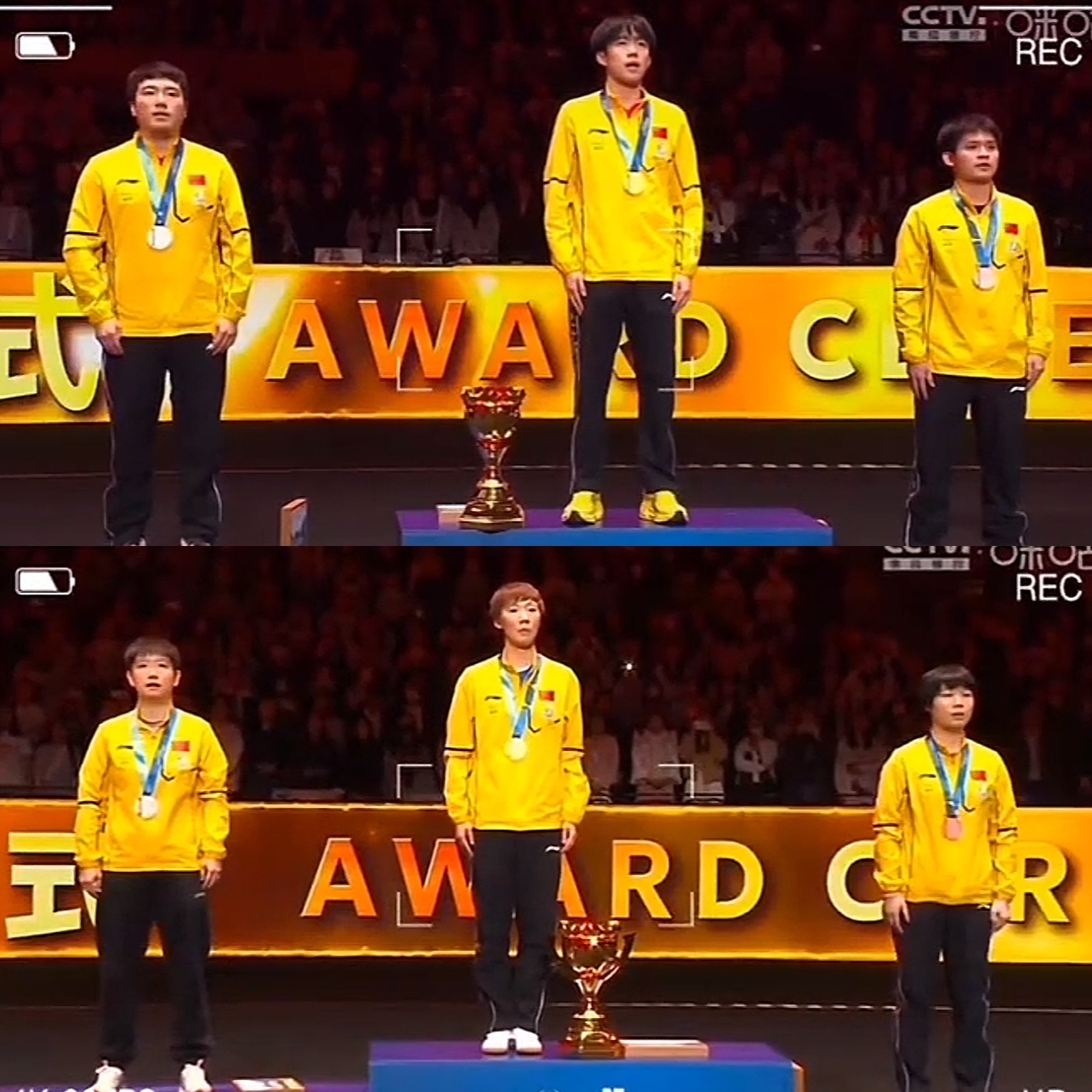 沙特选手斩获金牌，傲立赛场