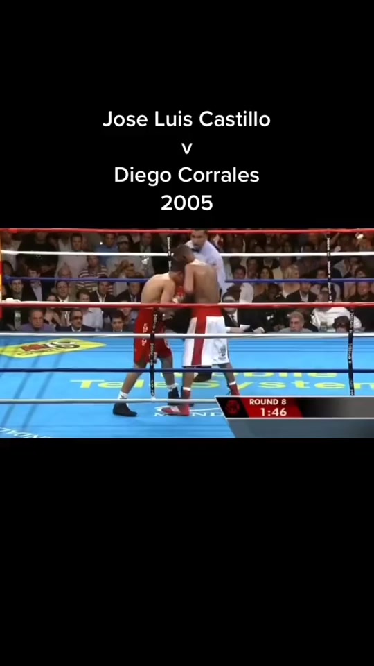 关于拳击擂台上激战，凶猛对决令人热血沸腾的信息