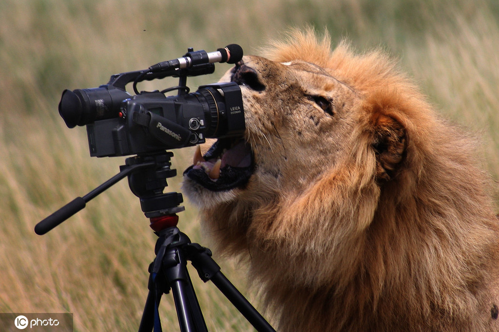 关于相机长枪，记录每一处美妙瞬间的信息